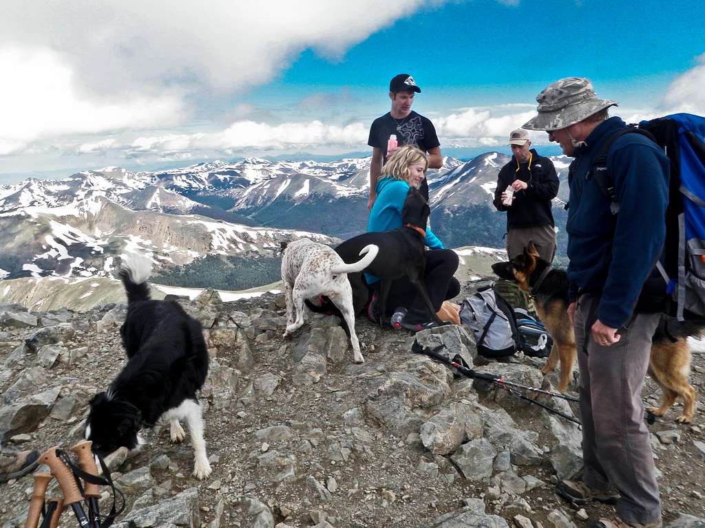 Summit Full of Dogs