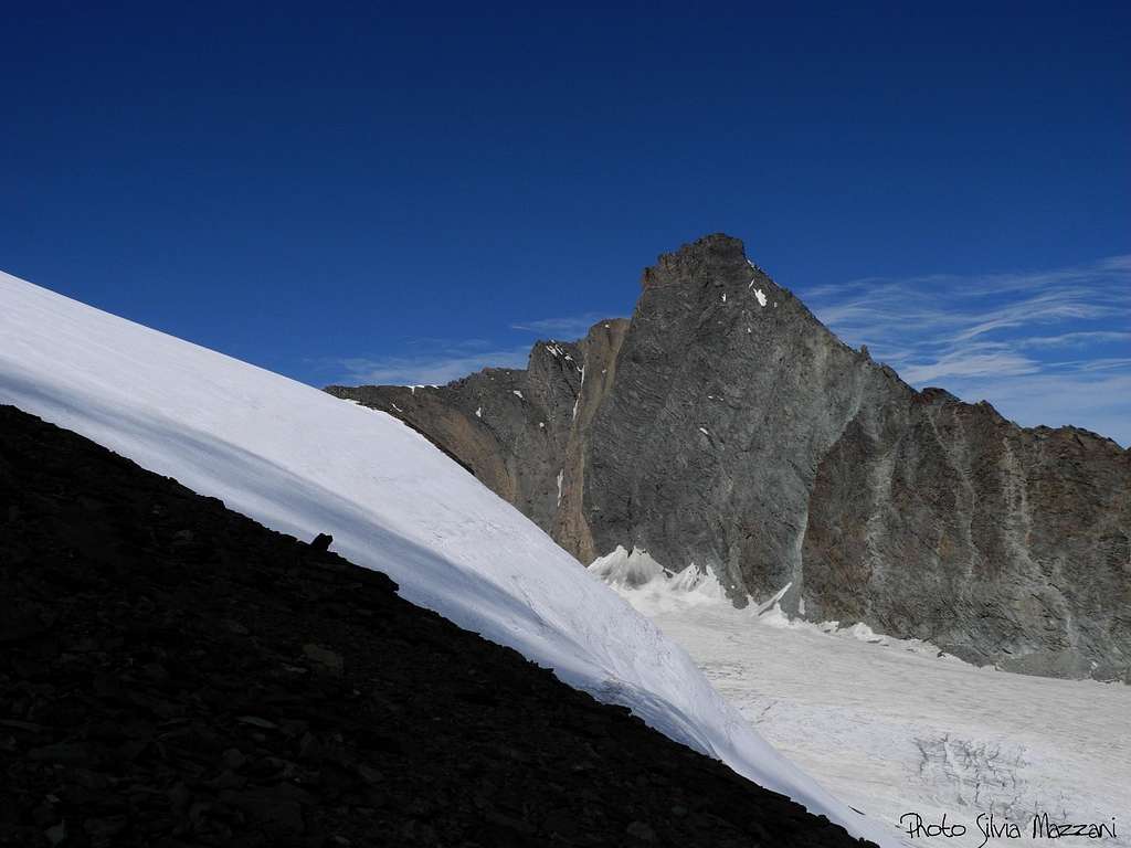 Grivola bella and Trajo Glacier