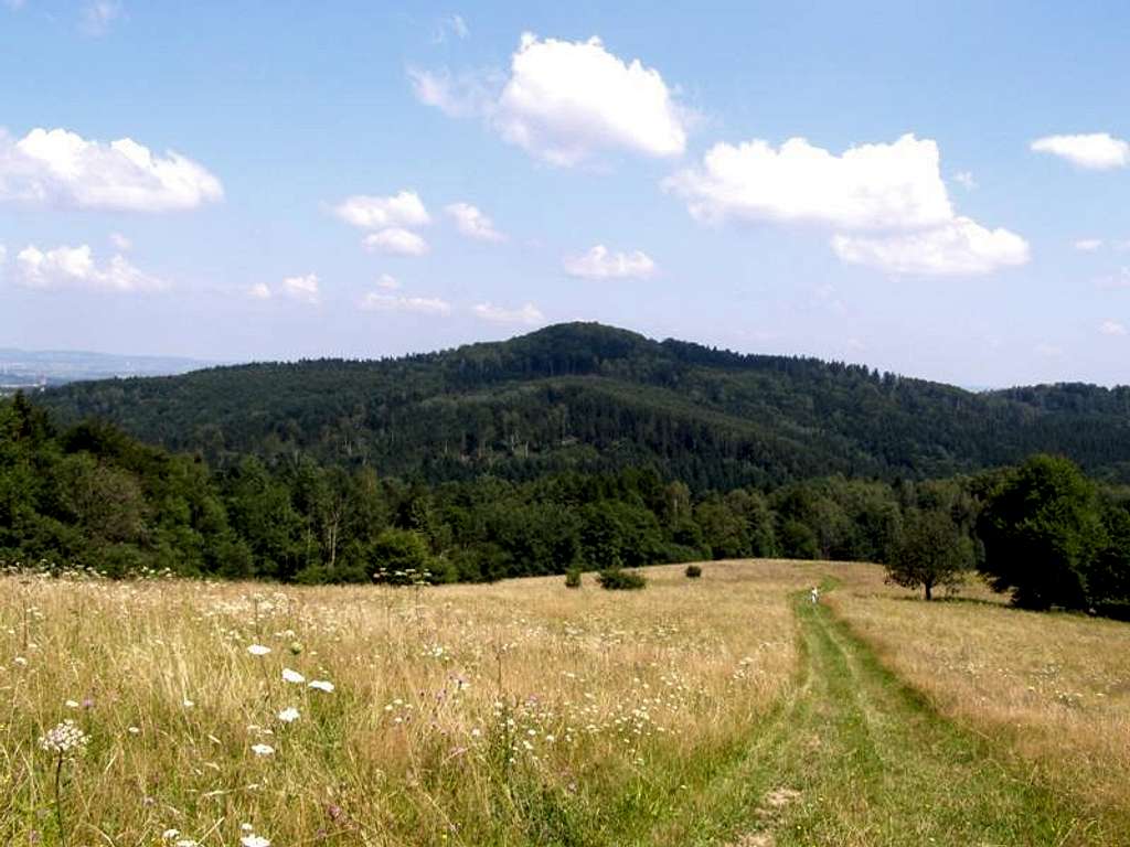 Hiking on Mount Woltuszowska