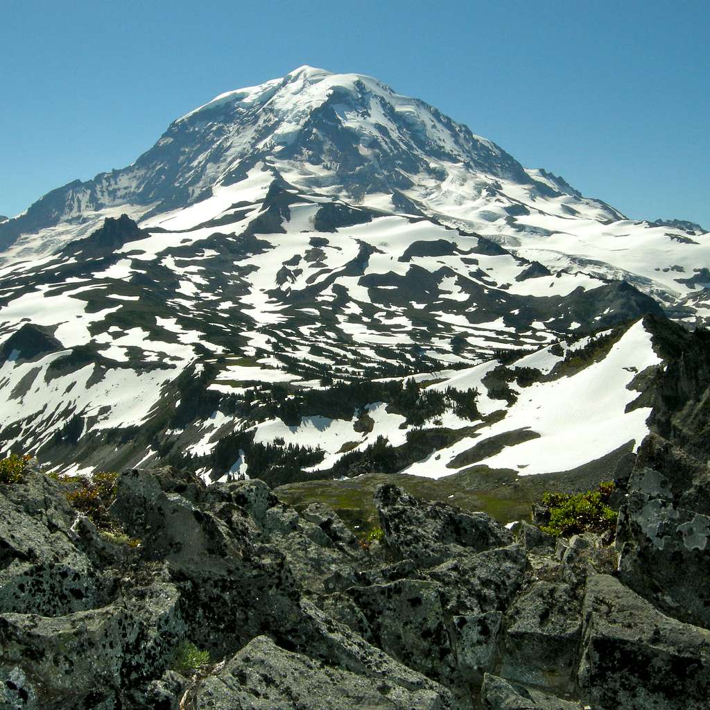 Rainier from First Mother Mountain