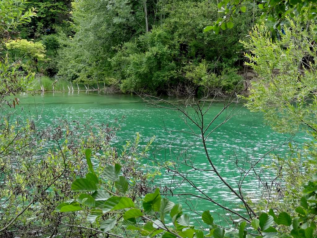 Pond under Gradinsko lake