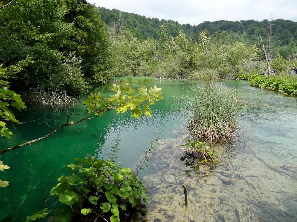 Pond under Gradinsko lake