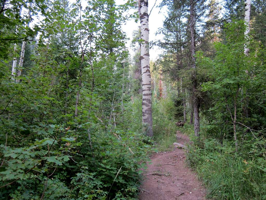 Russell Creek Trail