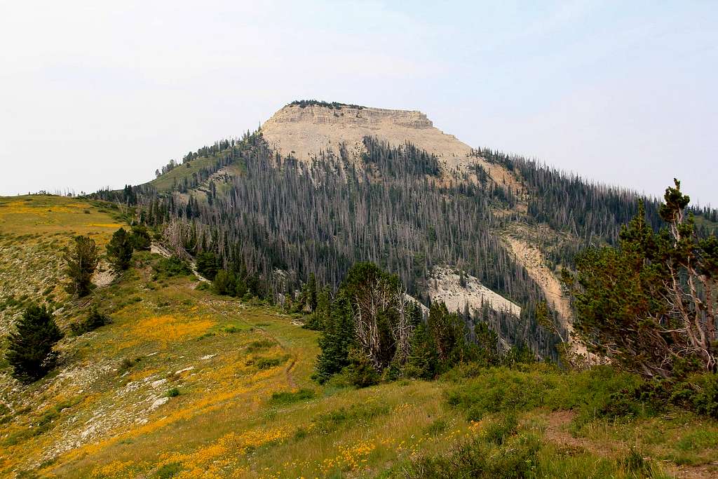 Musina Peak and the north ridge approach.