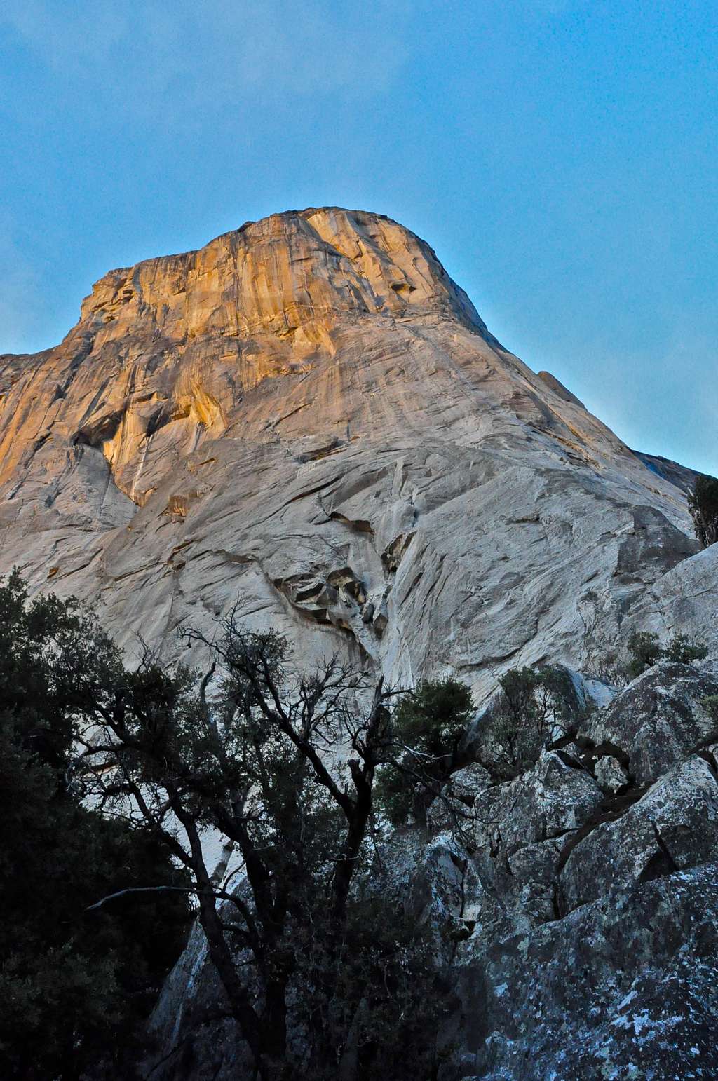 El Cap seen from the base of The Nose