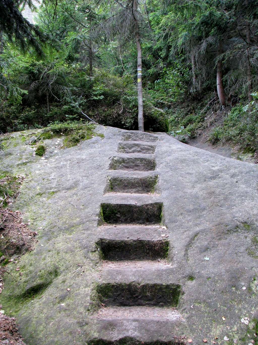 Stairway on  Trail