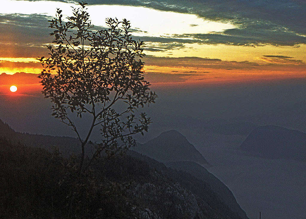 Dawn below Prsivec