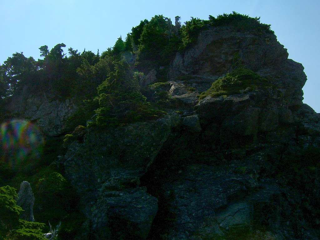 Brushy climbing towards top of Sheep Gap Mountain