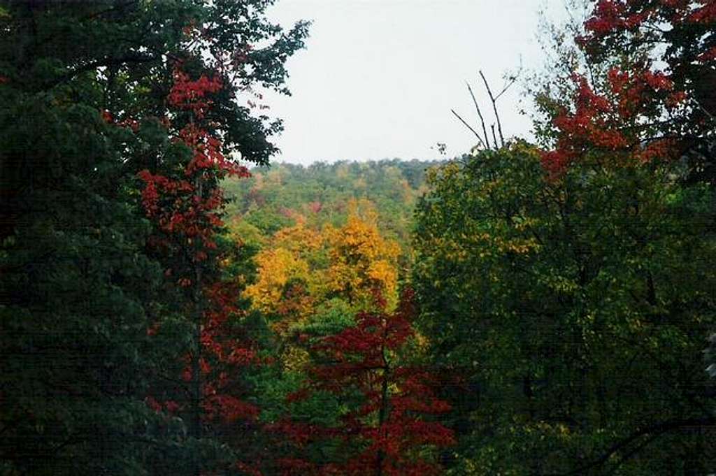 10/11/99: Fall colors add a...