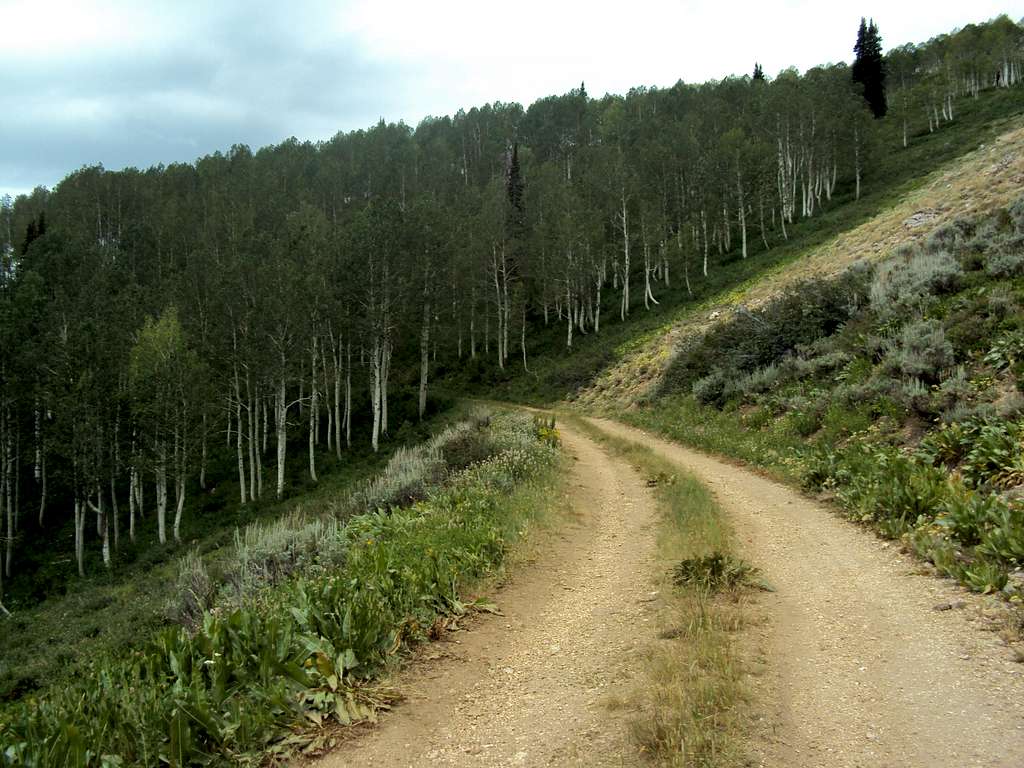 Double Track Trail