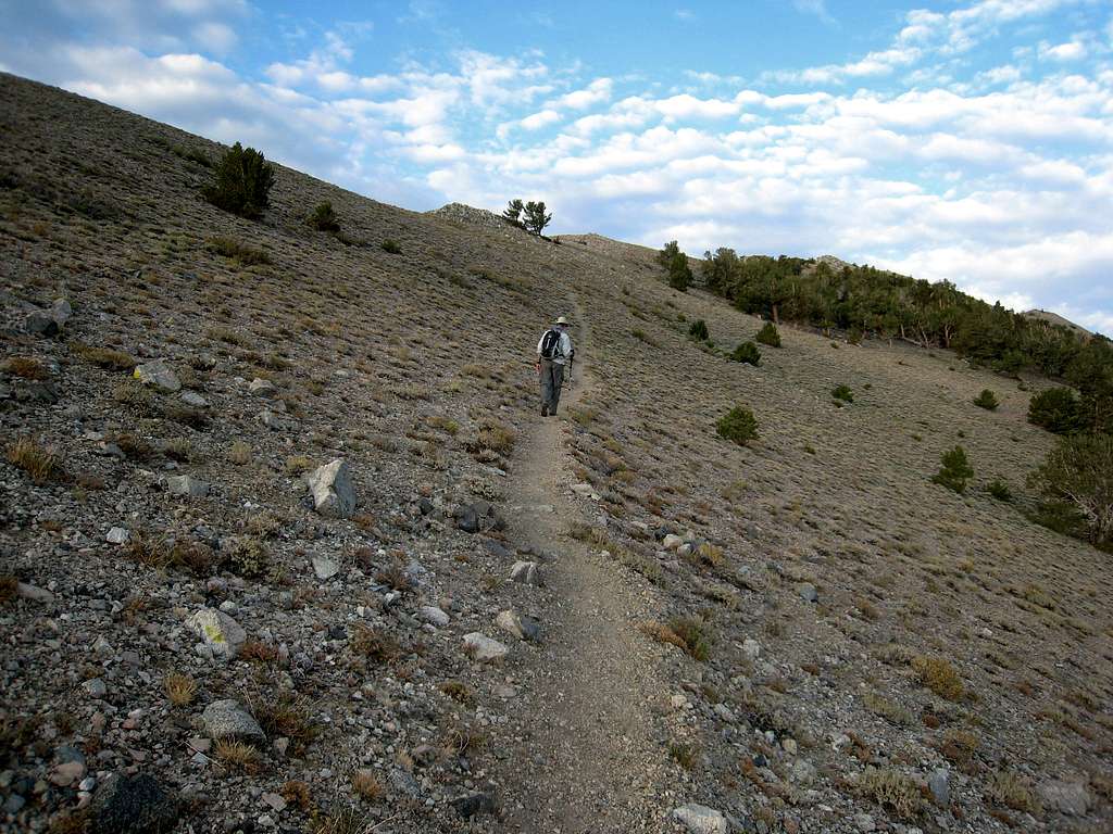 Queen Mine Trail