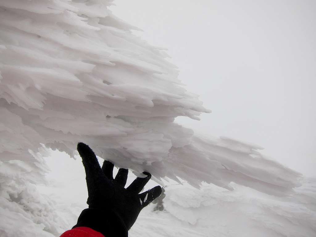 Rime ice at Dirfis peak