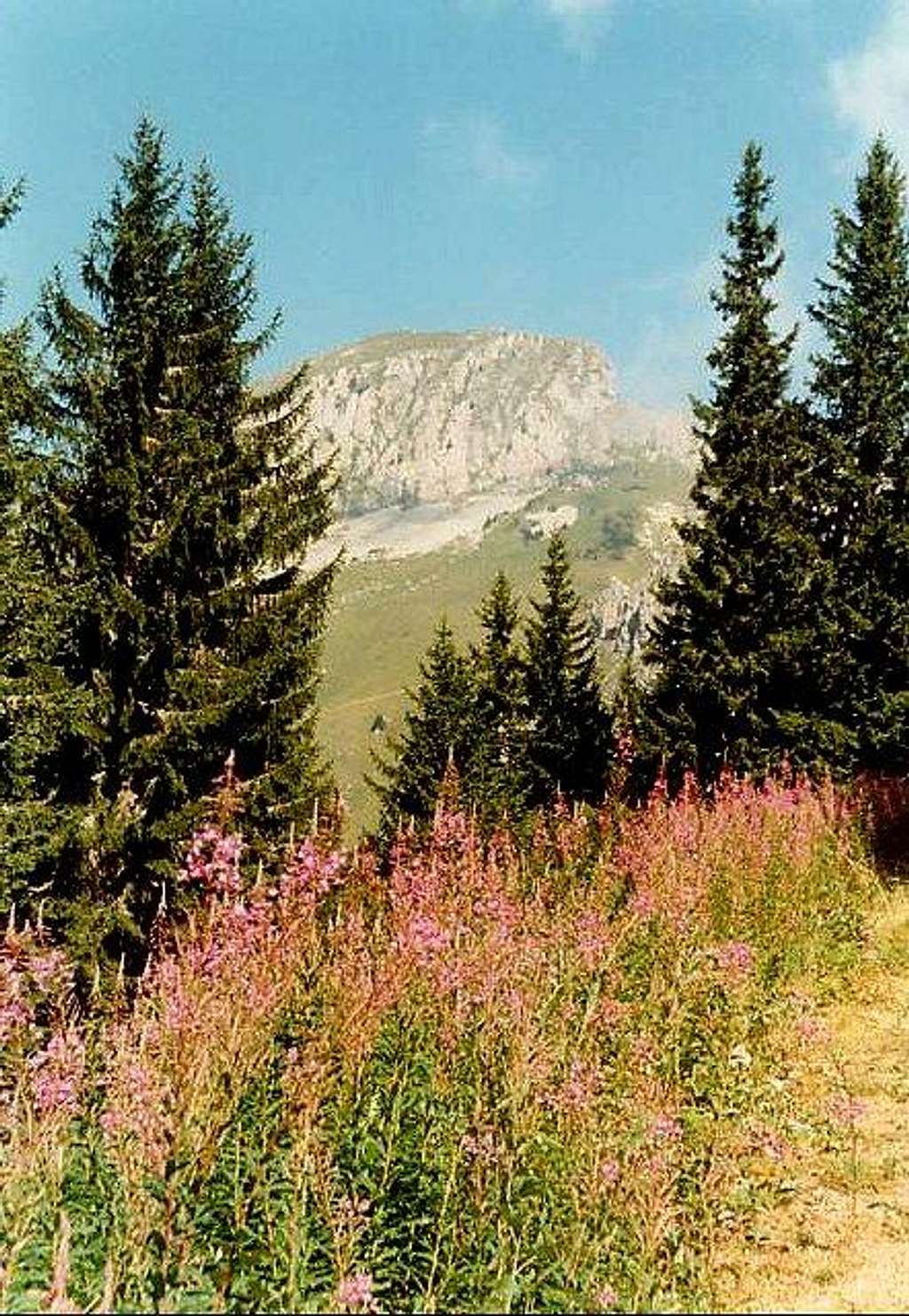 Mount Linleu (august 1994)