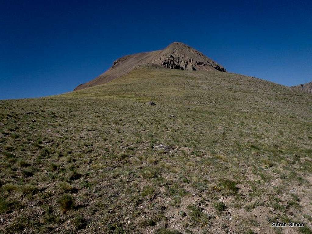 NE ridge of East Buffalo Peak
