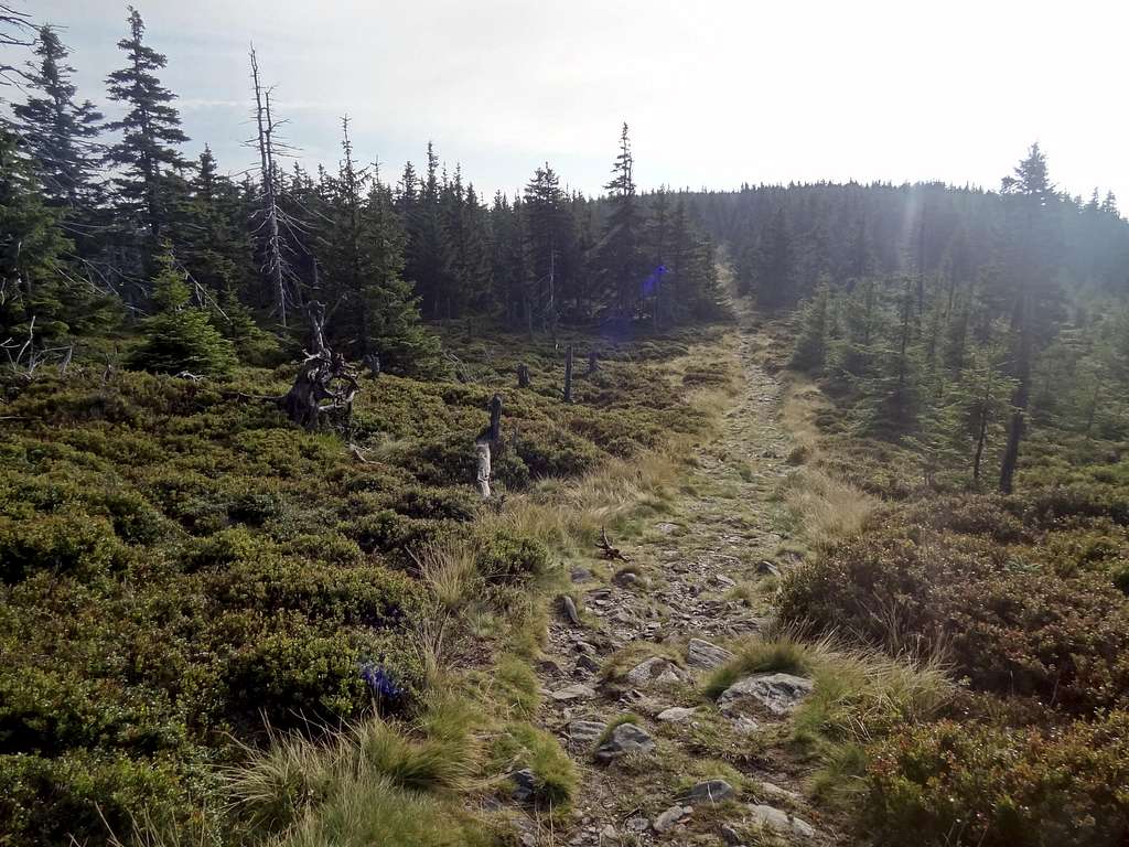 Trail on top of Kowarski Grzbiet