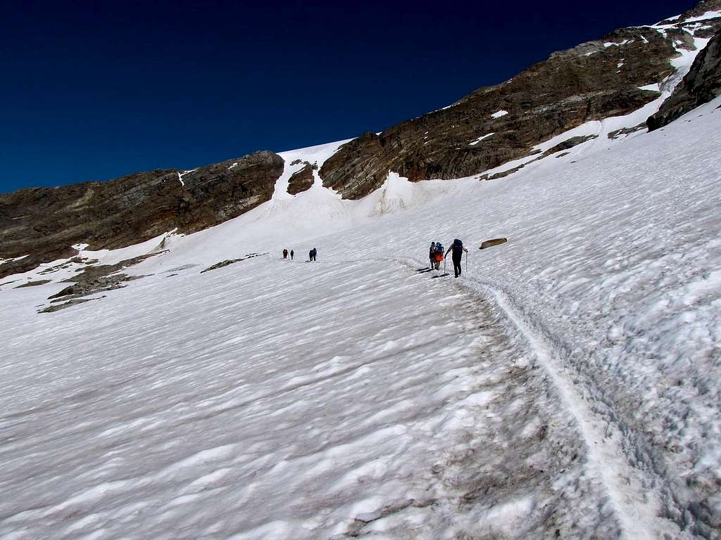  Glaciers of the Monte Rosa 