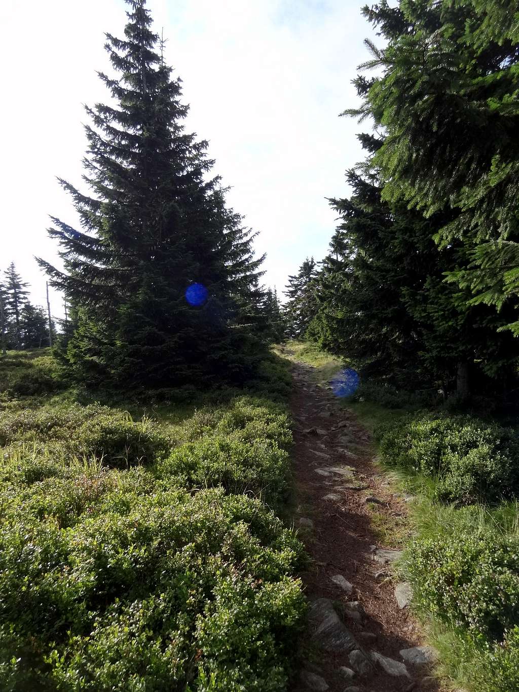 Trail on top of Czoło  