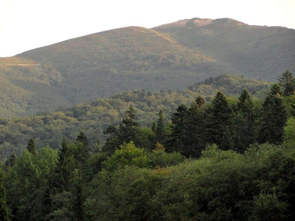 Mount Bukowe Berdo (1312 m)