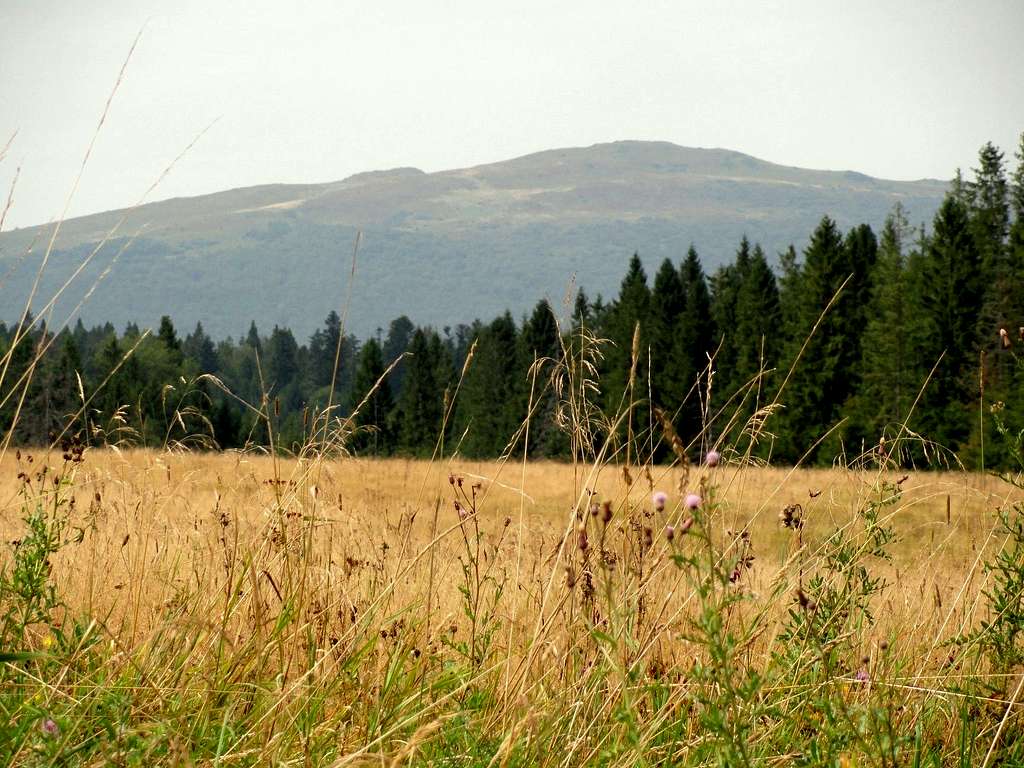 Mount Rozsypaniec