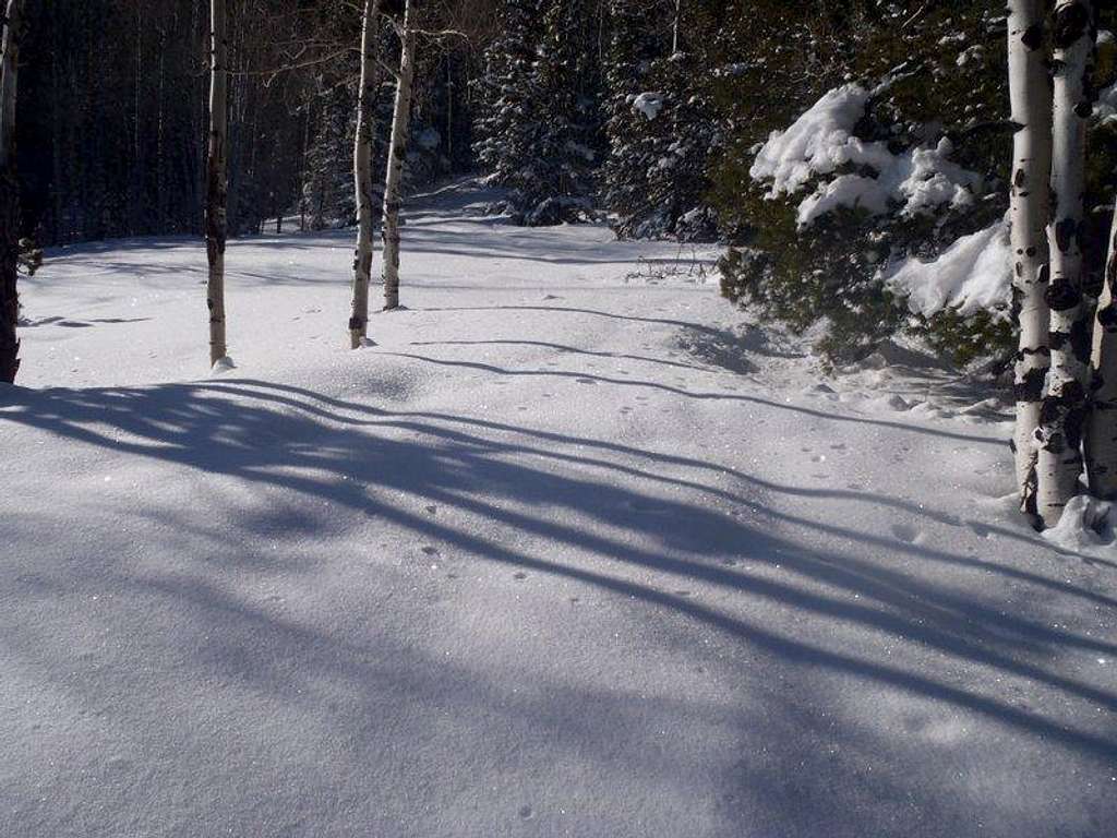 Smooth snow leaving trail