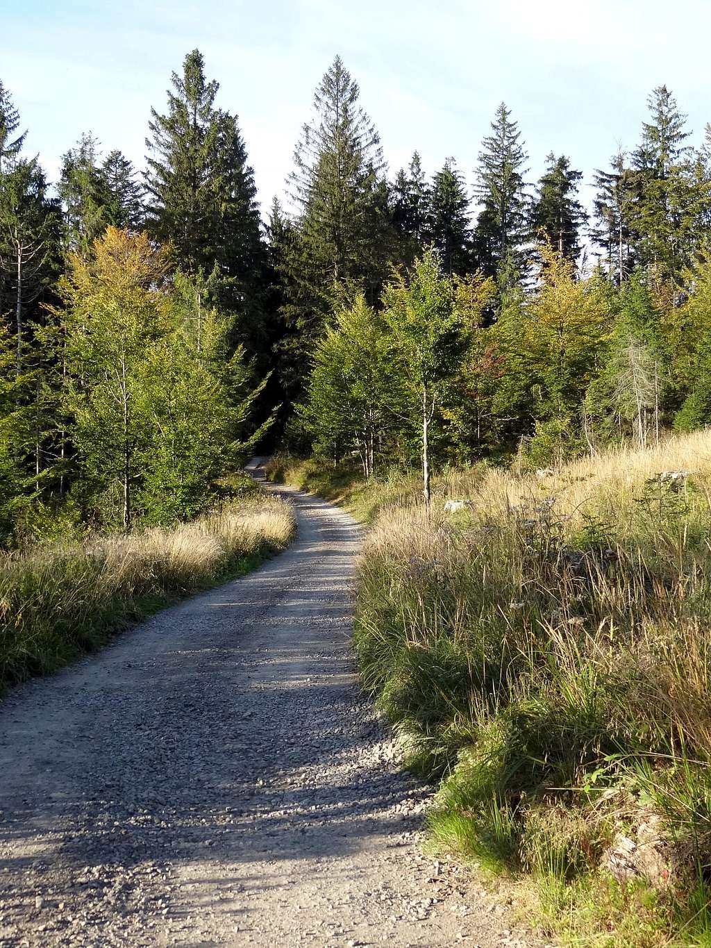 Red trail from Stecówka hut to Kubalonka pass