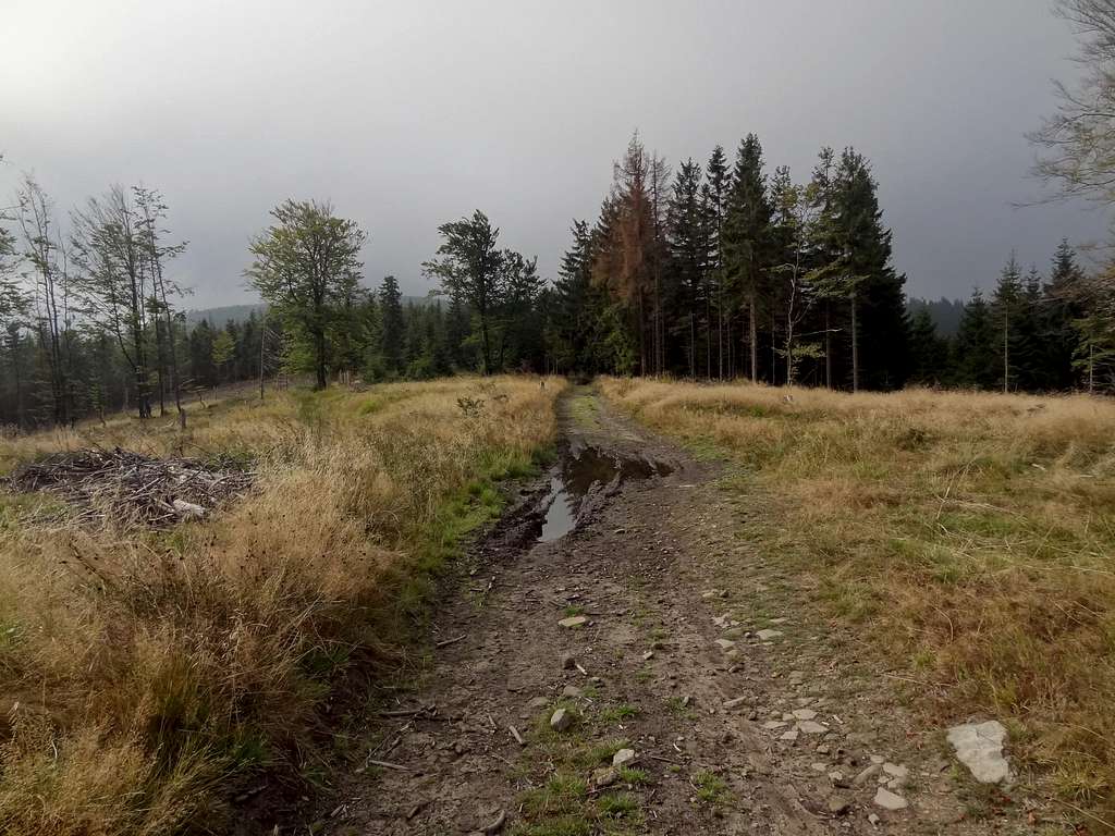 Trail north from Malinów (green marks)