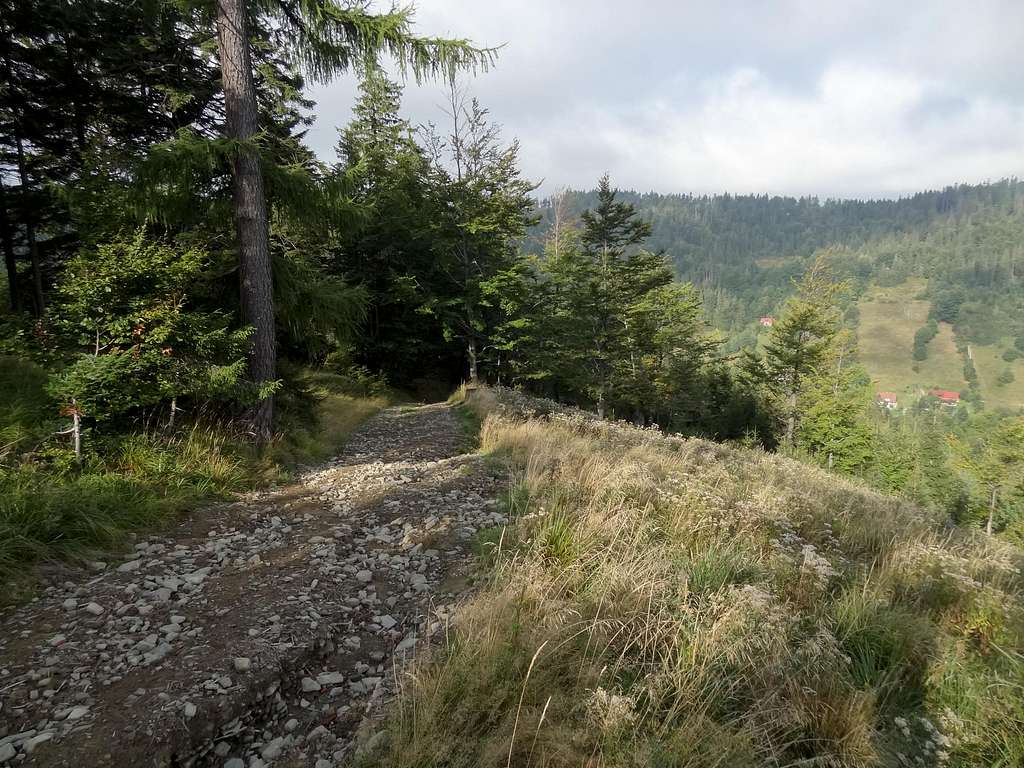 Szczyrk valley