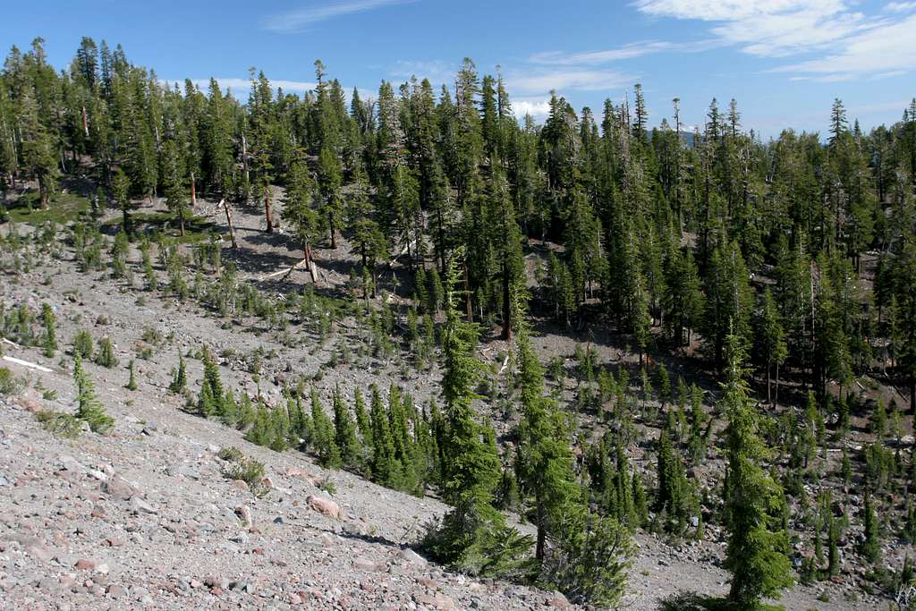 Mount Shasta