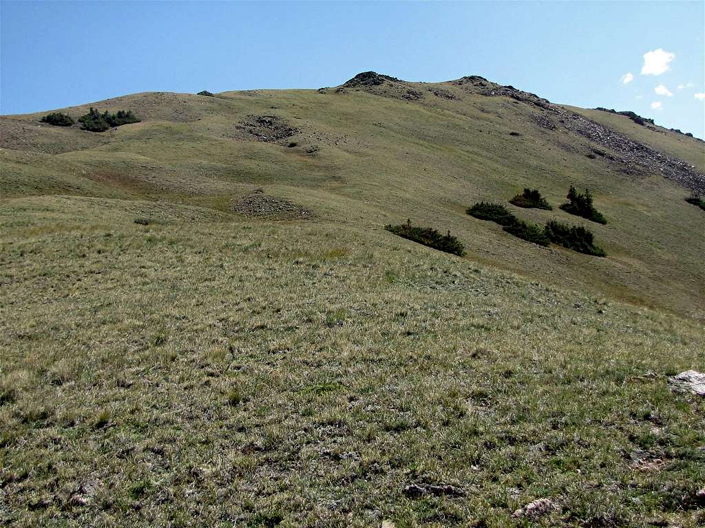 Grassy slopes of Sneva