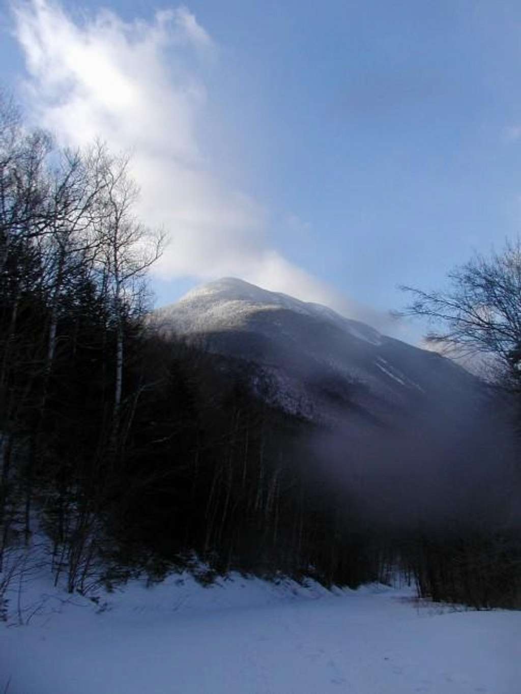 Mt Willey as seen from Ethan...