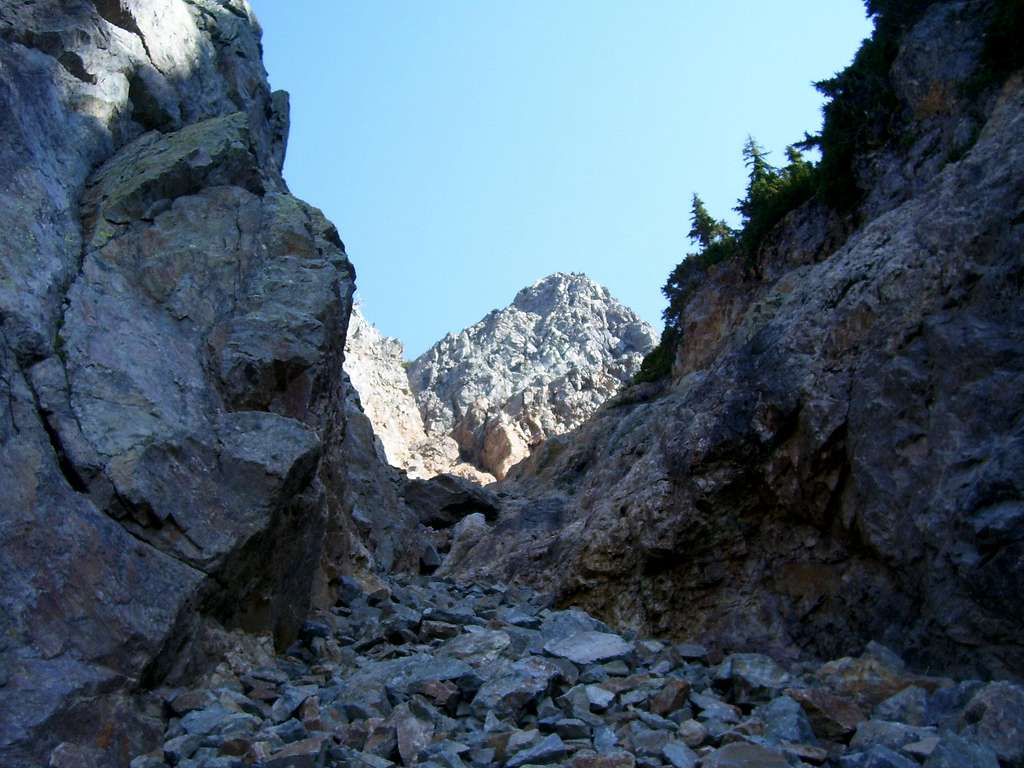 Looking up Sheep Mountain summit gully from 5500'