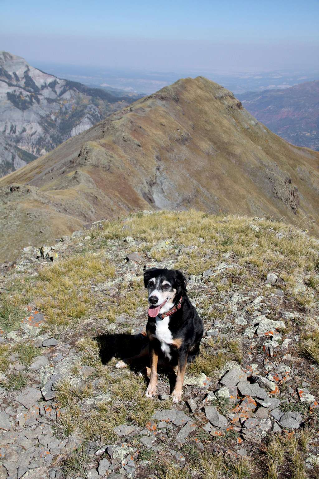 Duchess on our 2nd summit