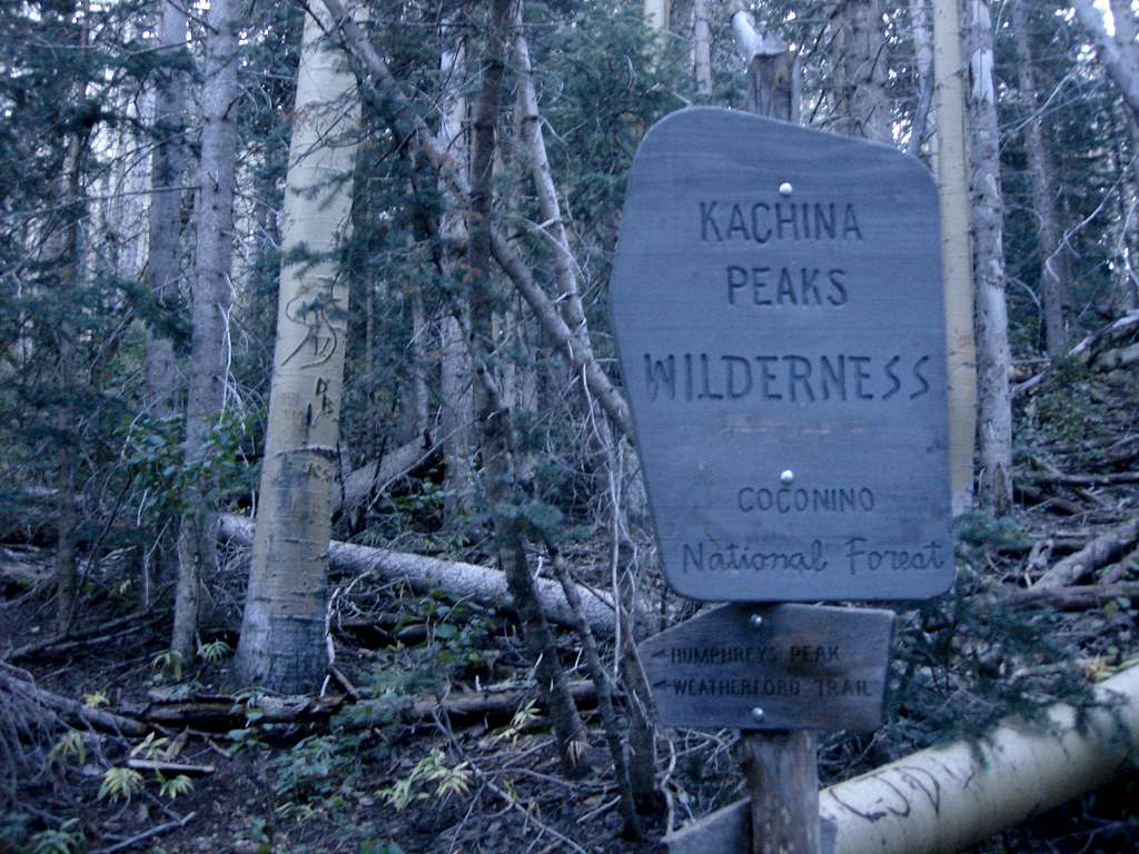 Sign Fallen Trees