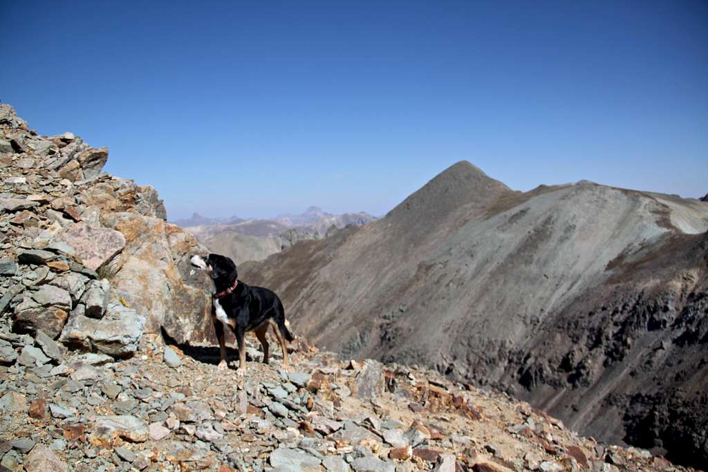 Below the summit