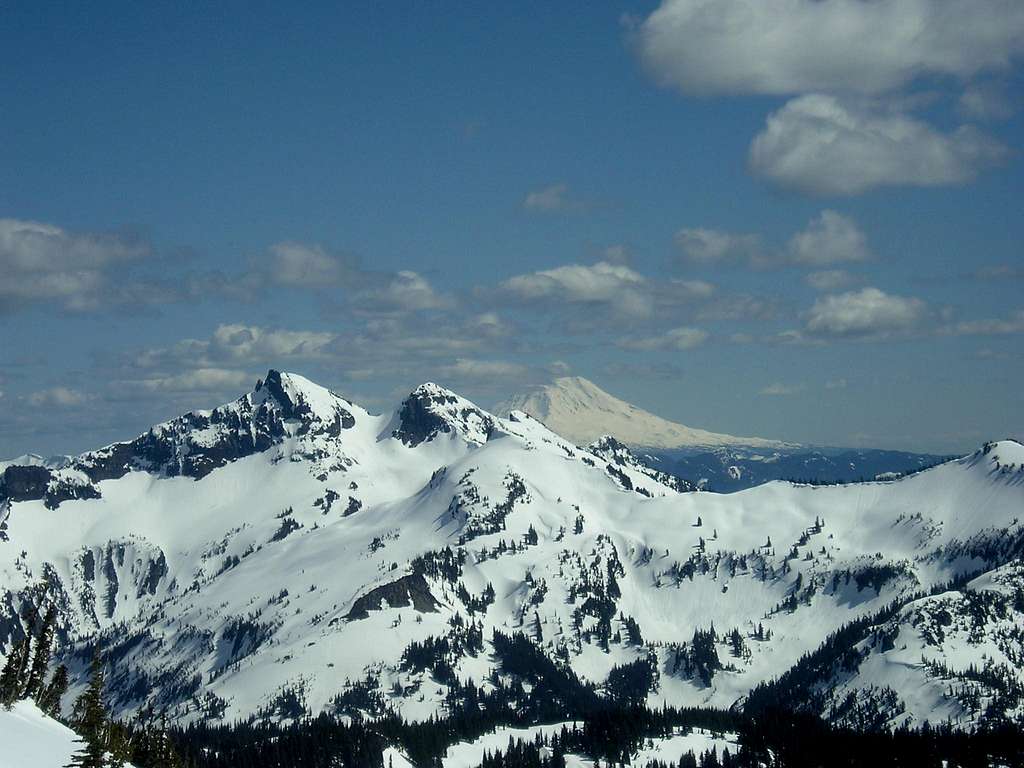 Mount Adams seen from the base of Mt Rainier