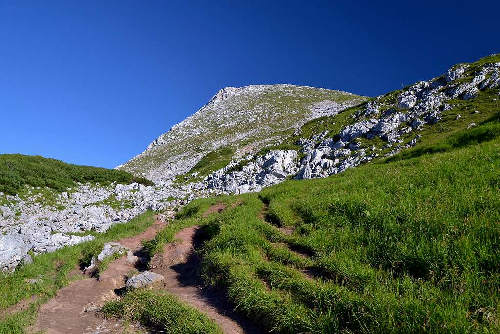 On the path of ascent to the Schneibstein