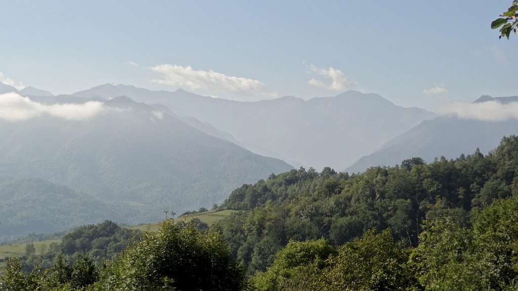 Forest panorama to the south