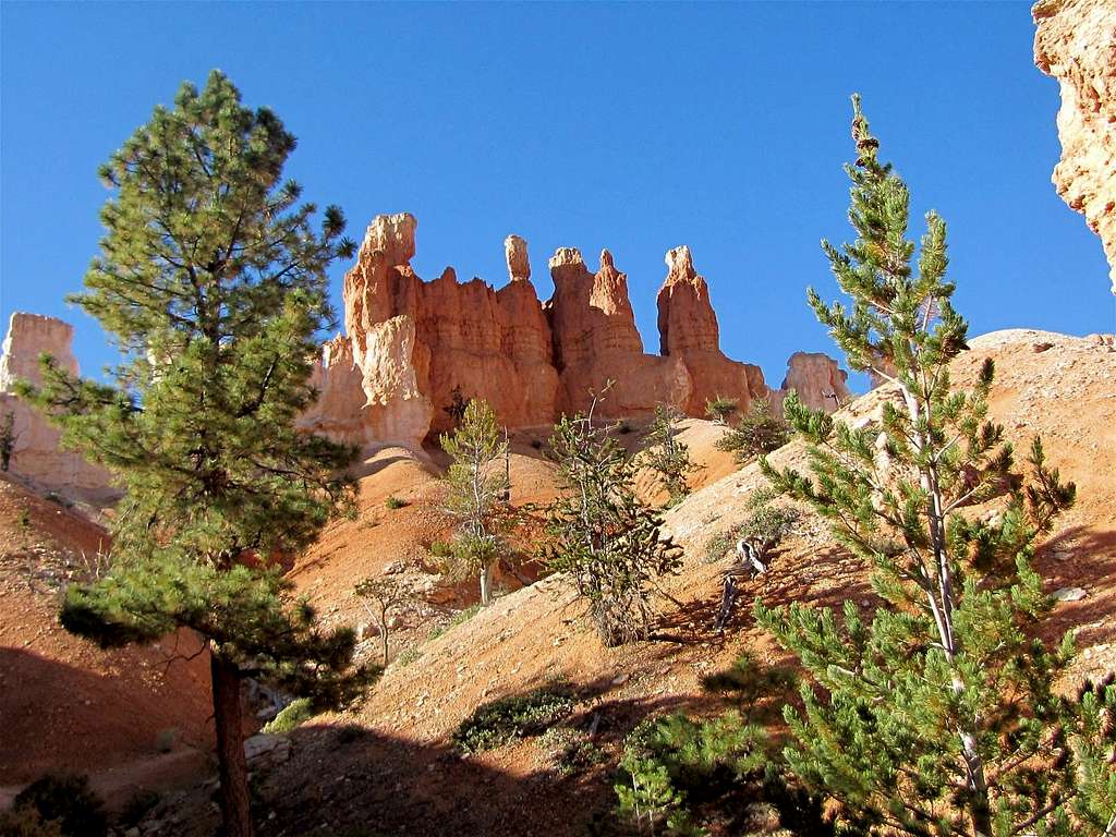 On the east arm of Peekaboo Loop