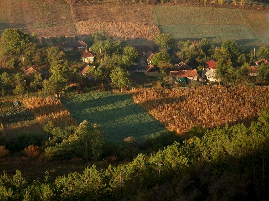 Sacalaia Village
