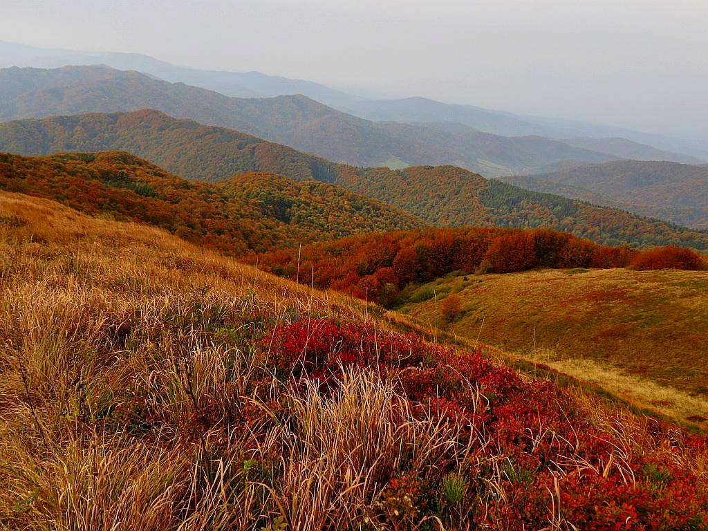 Bieszczady