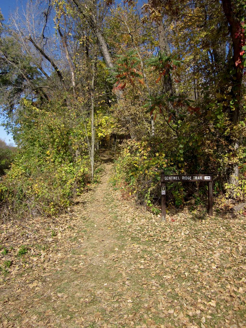 Sentinel Ridge Trailhead