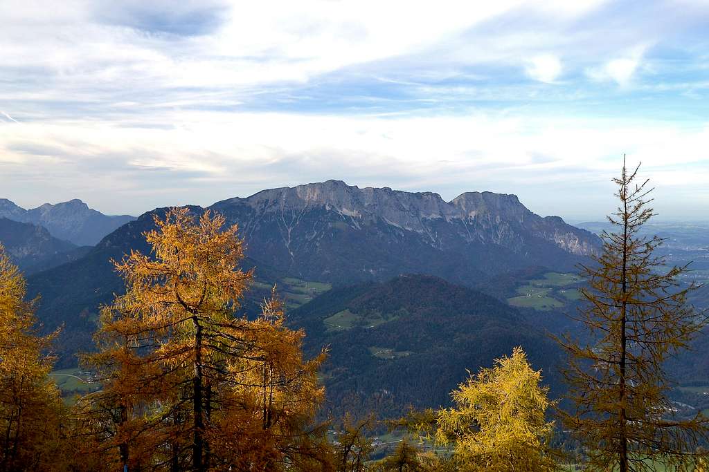 Larch trees and the Untersberg