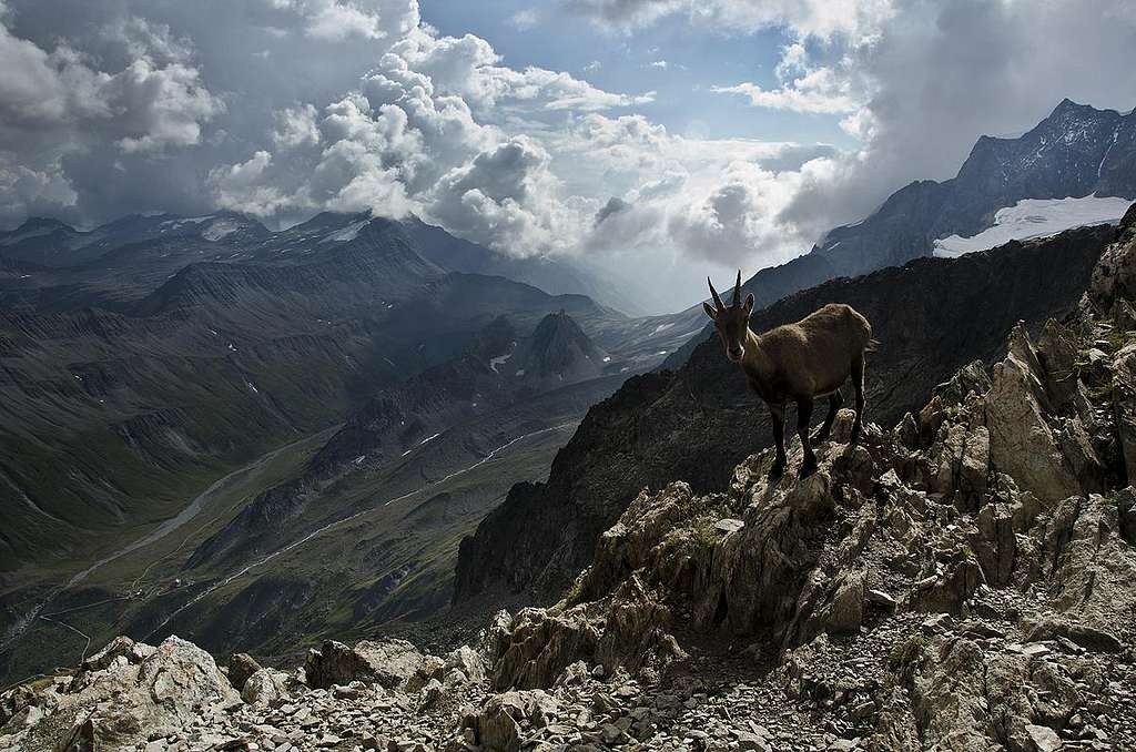 View from the Rainetto bivouac hut.