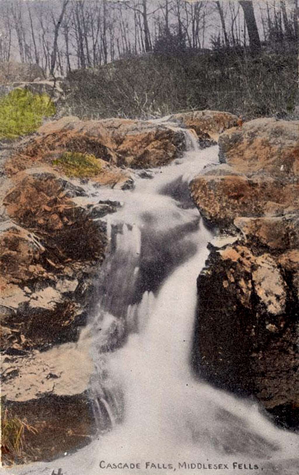 Cascade Postcard
