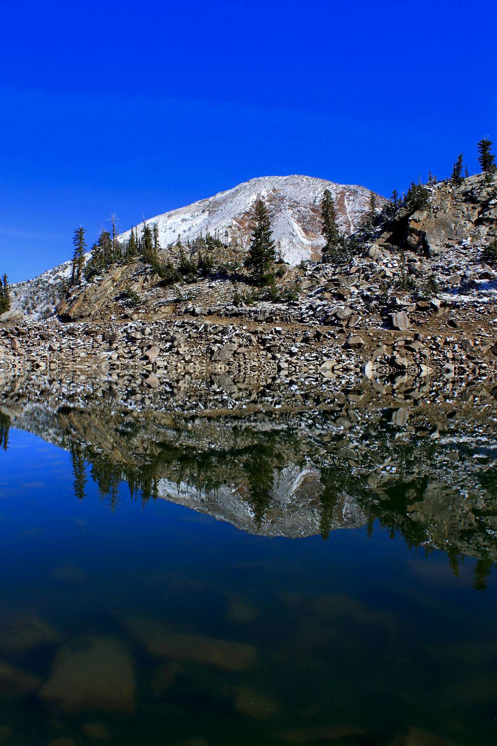 White Pine Lake