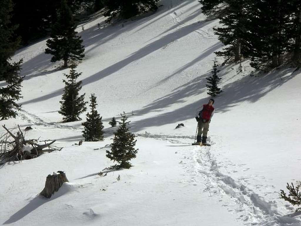 CharlesD Carefully Studies Meadow Mountain