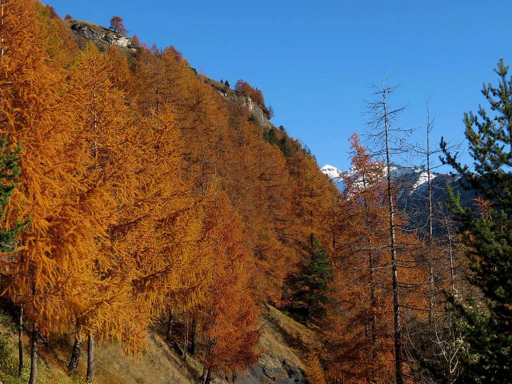 Autumn Colors in the Aosta Valley 