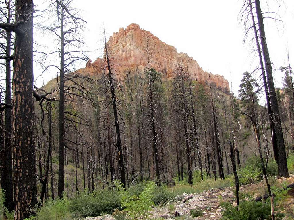 Swamp Canyon Butte