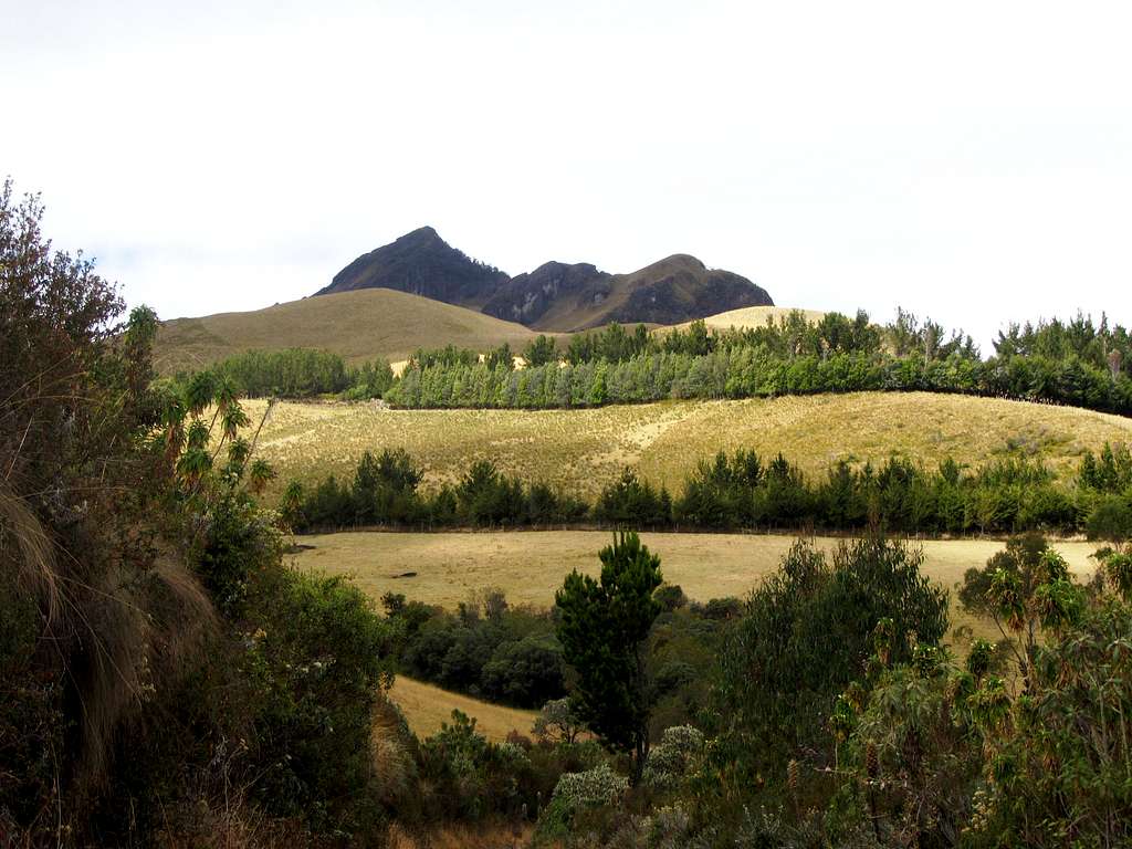 slopes of Pasochoa