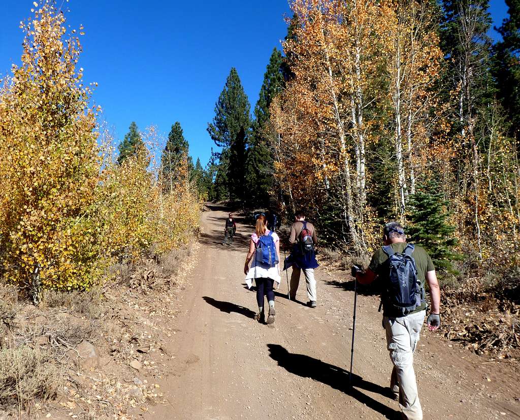 Group walking north up Jones Valley Road with fall colors in full bloom.